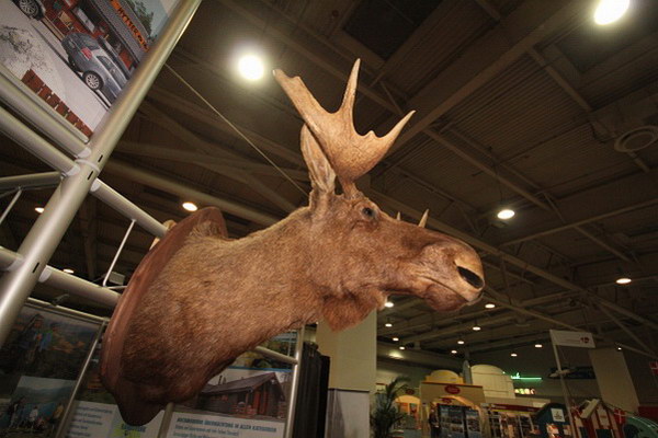 ABF_2014   071.jpg